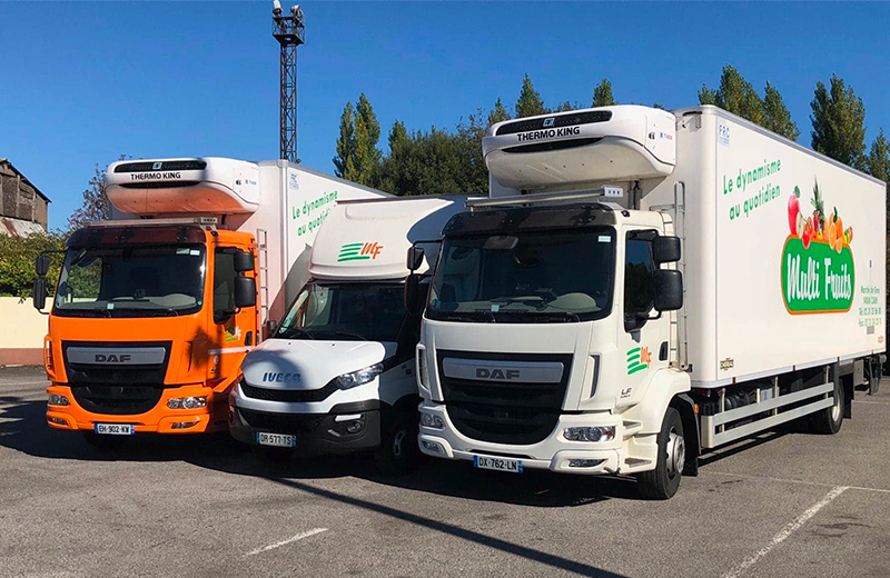 camion Multi Fruits Camions